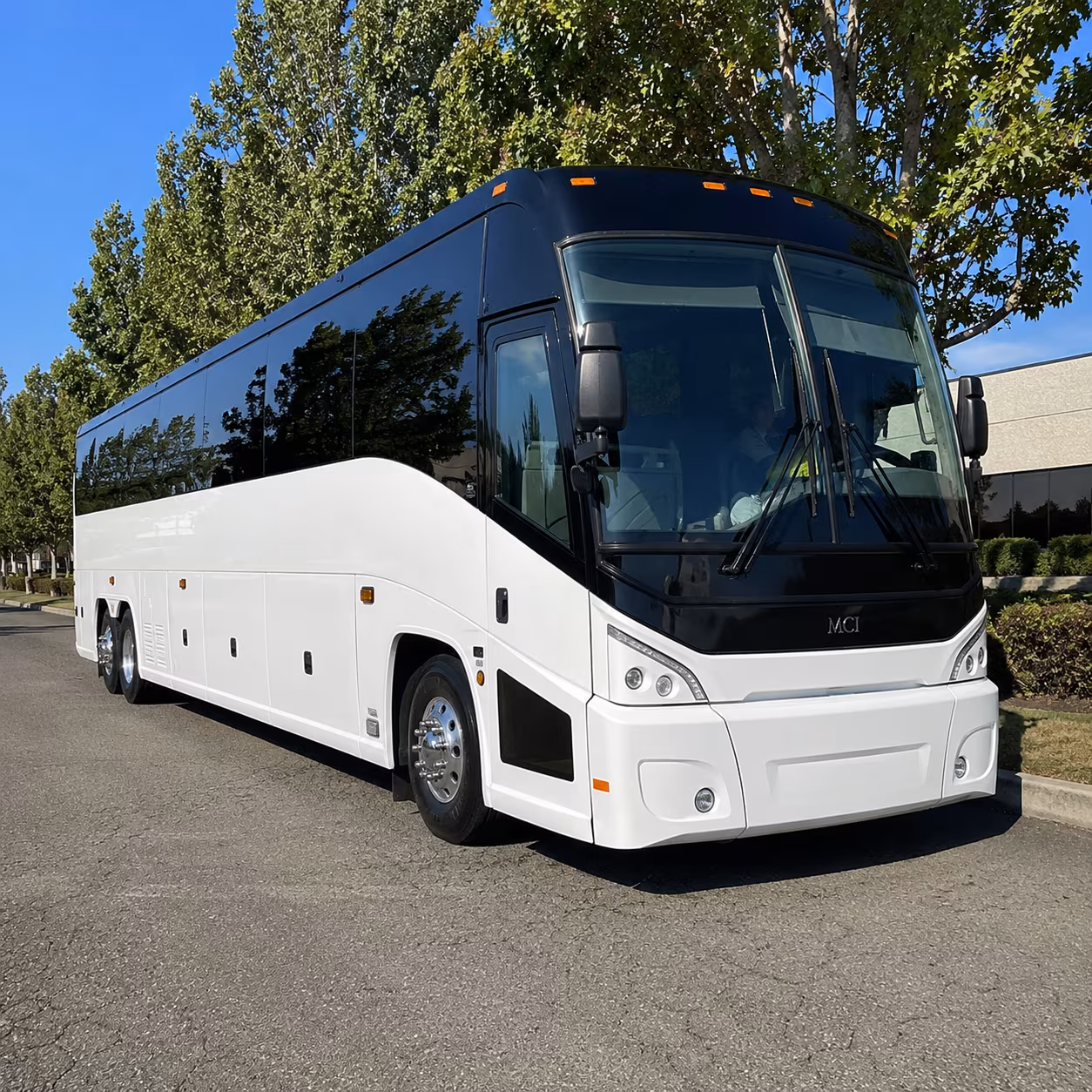 anchorage 50 passenger charter bus
