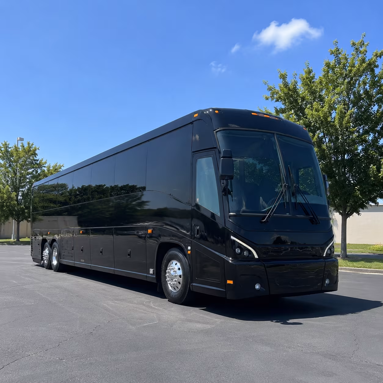 anchorage 56 passenger charter bus